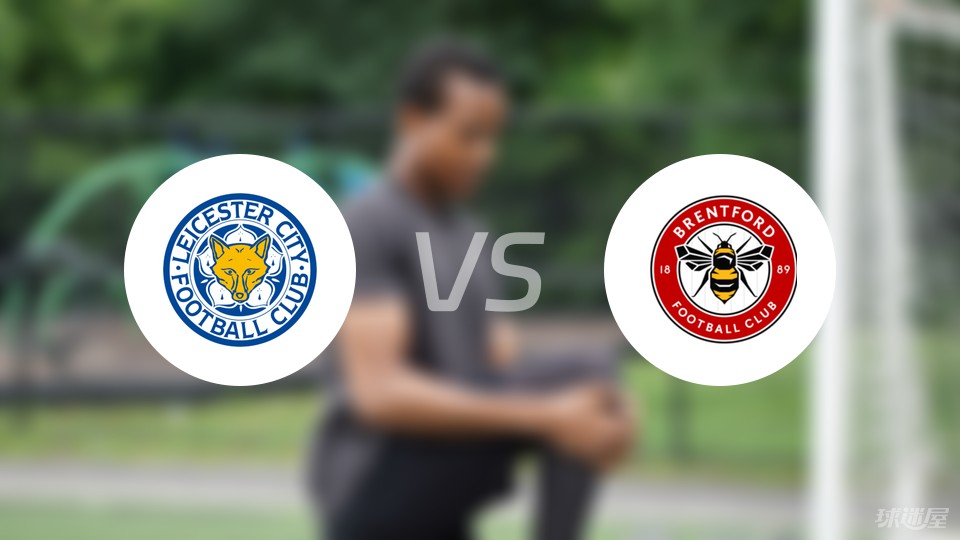 官方：26岁的前比利时国脚、国米旧将范赫斯登退役